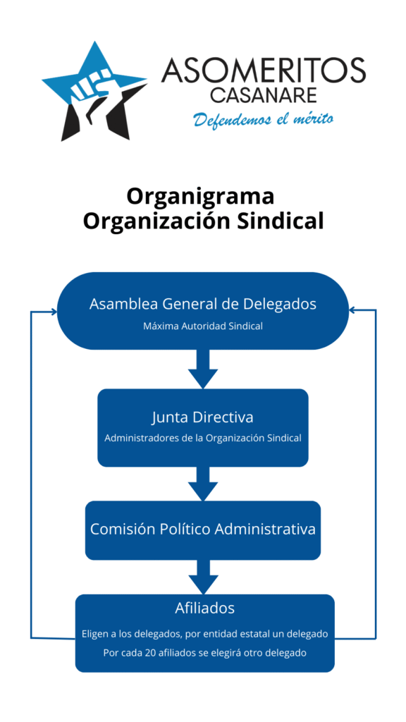 Organigrama Asomeritos Casanare